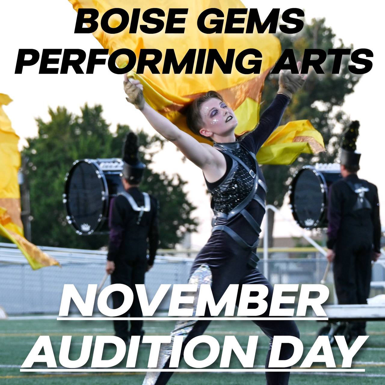 Cover for boise gems event, November Gems DBC / BGI Audition Day