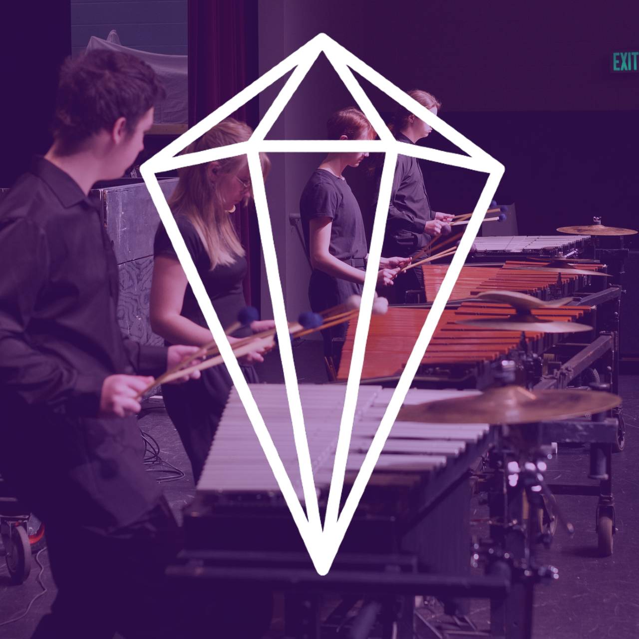 Cover for boise gems event, BGI Callback Audition